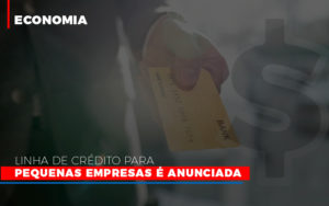 Linha De Credito Para Pequenas Para Pequenas Empresas E Anunciada - Contabilidade em São Paulo | ECONSA Contabilidade e Gestão Empresarial