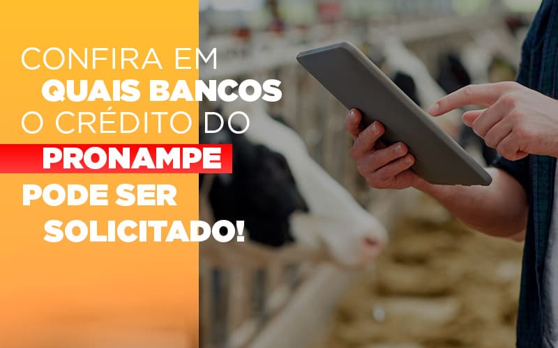 Confira Em Quais Bancos O Credito Pronampe Ja Pode Ser Solicitado - Contabilidade em São Paulo | ECONSA Contabilidade e Gestão Empresarial